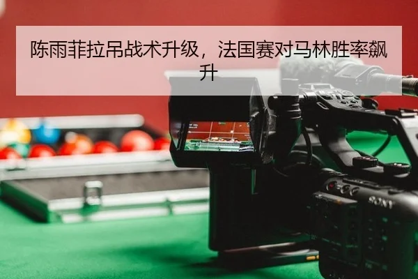 陈雨菲拉吊战术升级，法国赛对马林胜率飙升